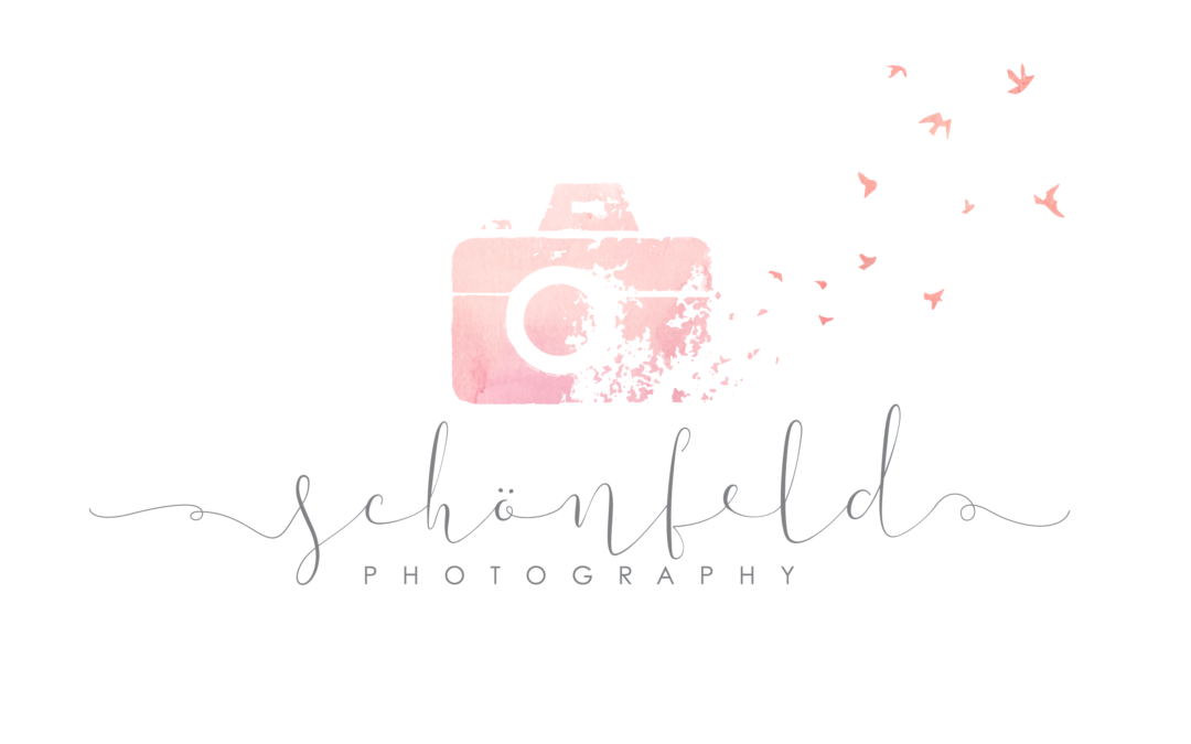 Schonfeld PHOTOGRAPHY